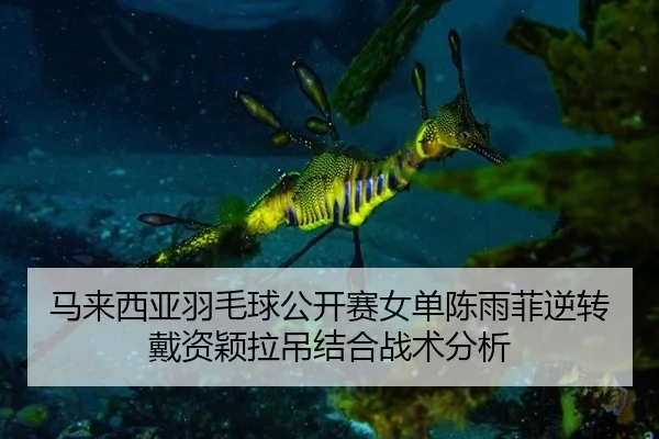 马来西亚羽毛球公开赛女单陈雨菲逆转戴资颖拉吊结合战术分析